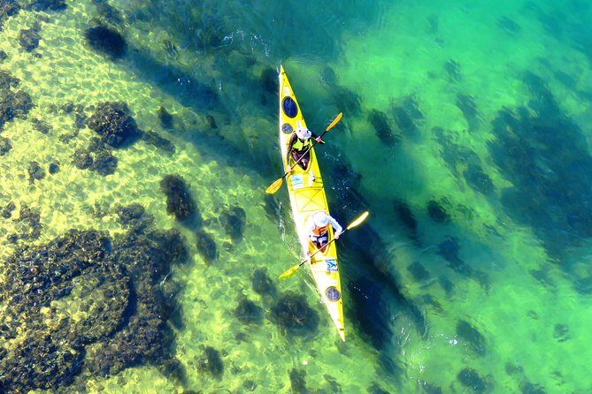 Self-Guided Sydney Middle Harbour Kayak 3 Hour Tour by Double Kayak - Key Points