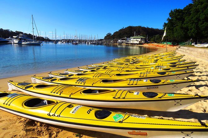 Self-Guided Sydney Middle Harbour Kayak 3 Hour Tour by Double Kayak - Who Will Love This Experience?