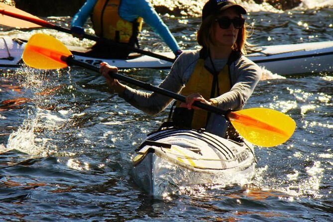 Self-Guided Sydney Middle Harbour Kayak 3 Hour Tour by Single Kayak - An In-Depth Look at the Sydney Middle Harbour Kayak Tour