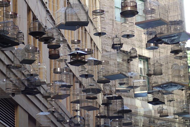 Self-Guided Sydney Scavenger Hunt: Inside Sydney - An Honest Look at the Self-Guided Sydney Scavenger Hunt