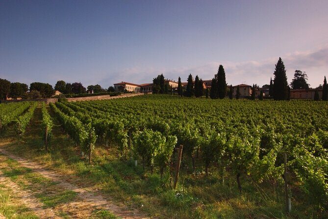 Self-guided Wine tour in Franciacorta, Full-Day Experience with Lunch - Frequently Asked Questions
