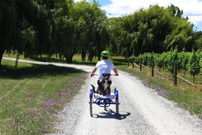 Self-Guided Wine Tours by Bike with Lorelle & Greg - Who Will Love This Tour?
