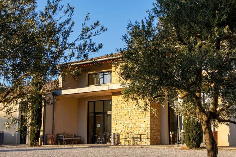 Self tour of the olive oil mill & olive oil tasting - Authenticity and Atmosphere