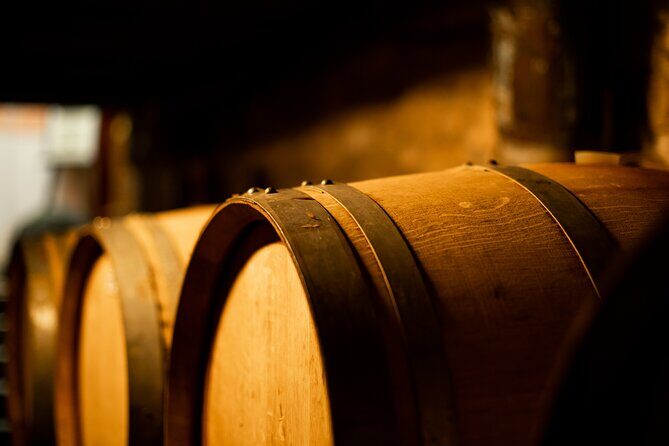 Sella delle Spine Taurasi: Tasting, Vineyard and Cellar Tour - An Inside Look at the Sella delle Spine Taurasi Tour