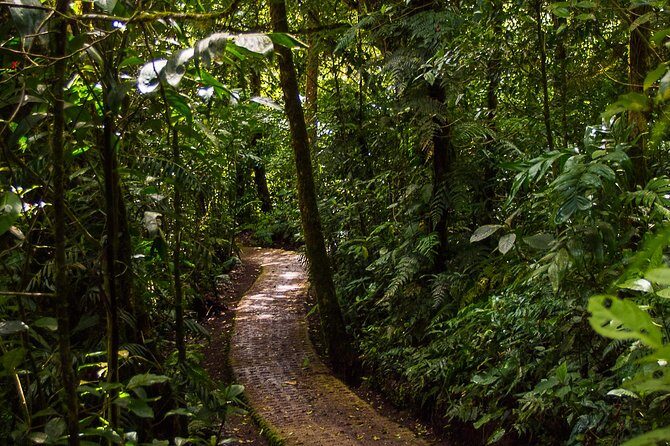Selvatura Park Combo Tour From Monteverde - Why Choose This Tour?