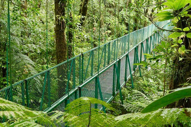 Selvatura Park Gold Package (Canopy & Hanging Bridges) - Frequently Asked Questions