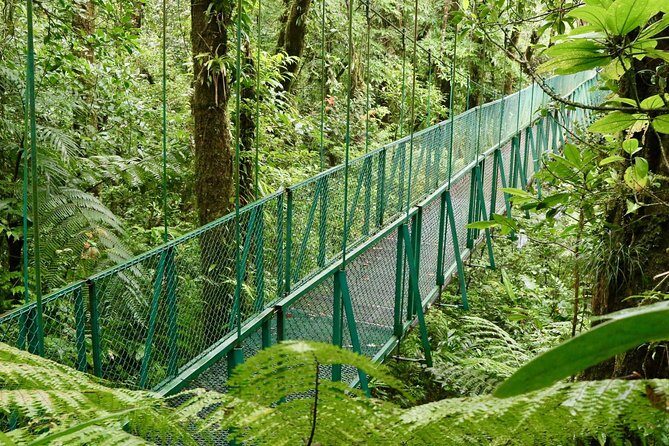 Selvatura Park Hanging Bridge Tour in Monteverde - Who Should Consider This Tour?