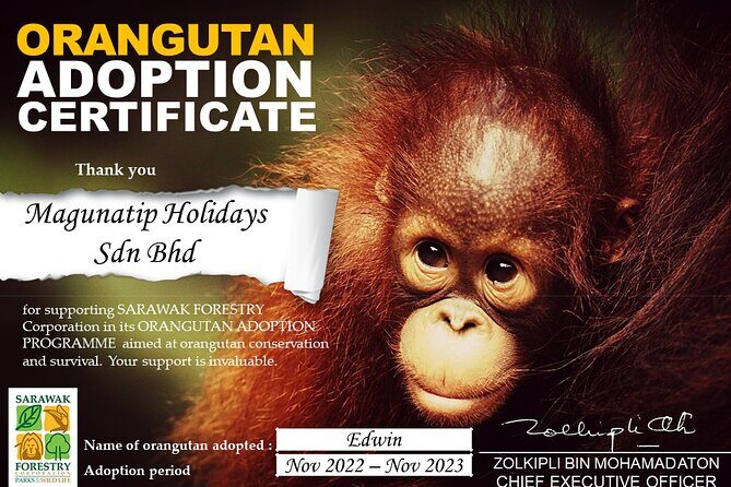 Semenggoh Orangutan Center & Sarawak Cultural Village - An In-Depth Look at the Experience