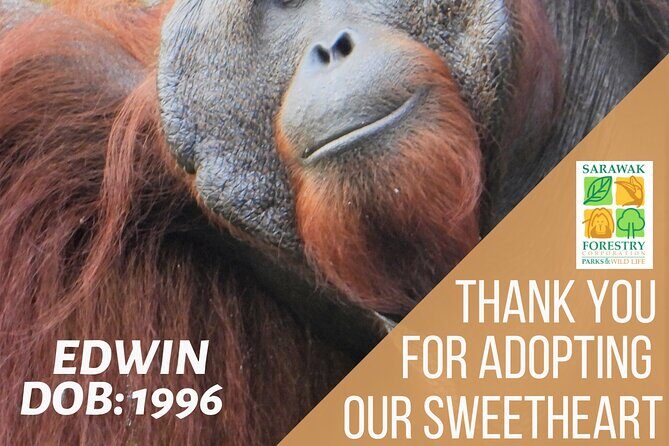 Semenggoh Orangutan Center & Sarawak Cultural Village - Final Thoughts