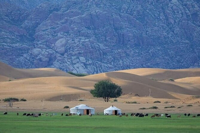 Semi-Gobi and Kharkhorum overnight private trip - In-Depth Review of the Semi-Gobi and Kharkhorum Tour