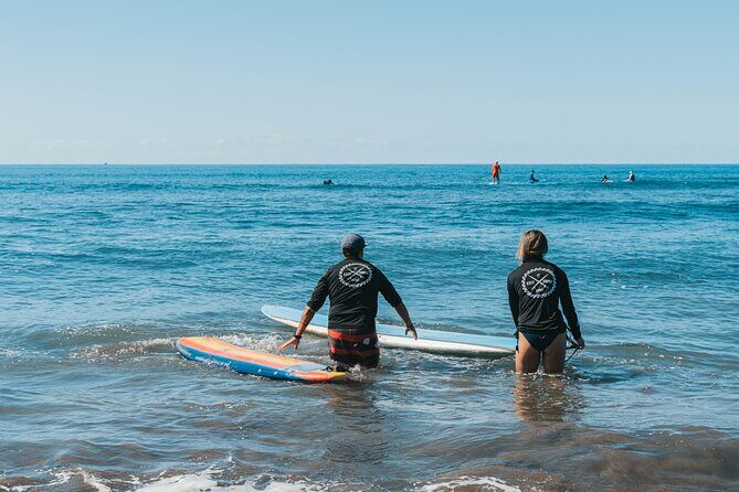 Semi-Private 2 hour Surf Lesson in Lahaina - A Deep Dive into Your Maui Surf Lesson