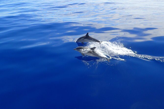 Semi-private Antiparos & Caves Blue Lagoon OR Rina Cave & Small Cyclades - Nautical Adventures in Naxos: Sailing to Antiparos & the Small Cyclades