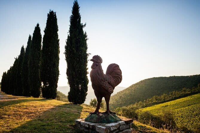 Semi Private Deep Wine Chianti and San Gimignano from Florence - An In-Depth Look at the Tour Experience