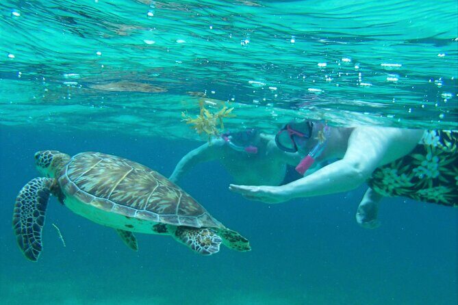 Semi-private Exclusive All-in-1 Full Day Guided Tour - Why This Tour Works Well