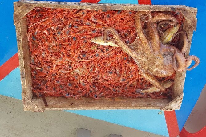Semi - Private Fishing Tour (transportation included) - Who Will Love This Tour?