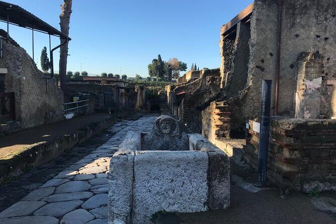 Semi-Private Guided Small-Group Tour of Herculaneum - Who Should Book This Tour?