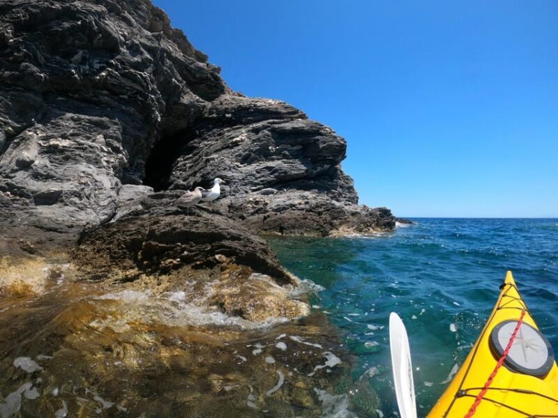 Semi-Private Half Day Kayaking Tours in Milos - FAQ