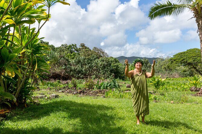 Semi Private Honolulu Historical Tour - Who Will Love This Tour?