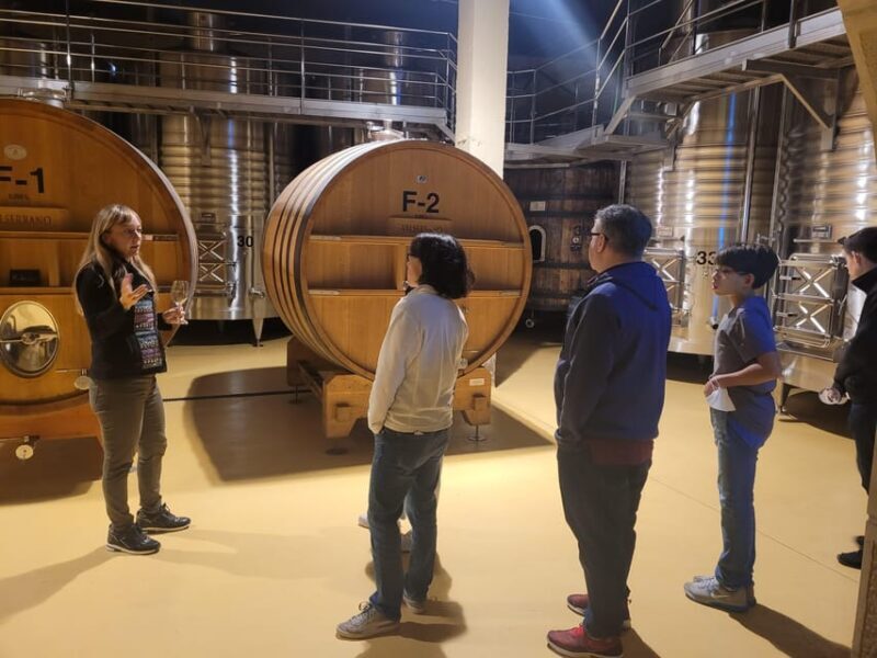 Semi-Private La Rioja Tour of 3 Premium Wineries from Bilbao - The Experience in Detail