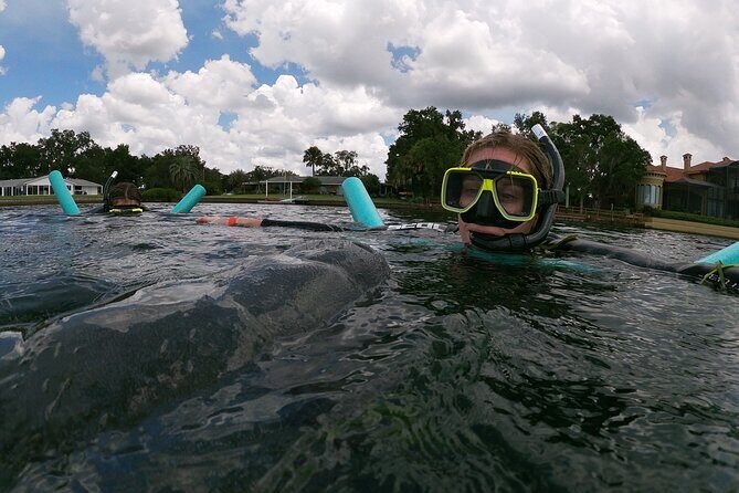 Semi-Private Manatee snorkeling with In Water Guide - Why This Tour Offers Good Value