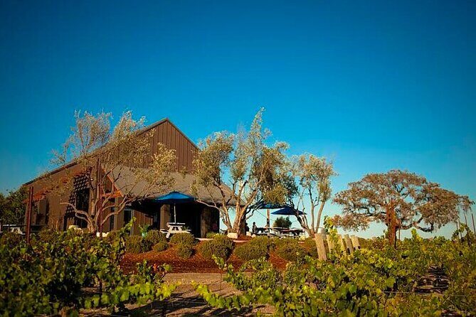 Semi-Private, Modified Hop-On Hop-Off Wine Tour from San Luis Obispo & Pismo - Key Points