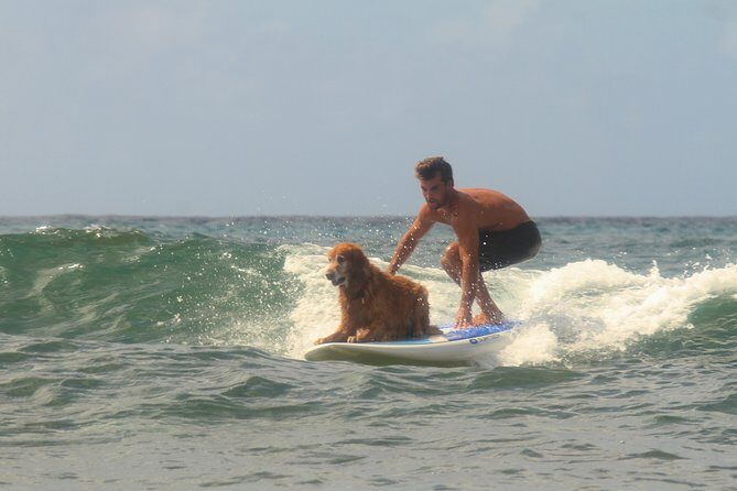 Semi-Private Surf Lesson - FAQ