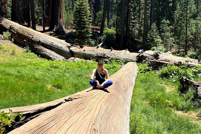 Semi Private Tour to Sequoia National Park with Lunch - Exploring the Beauty and Bigness of Sequoia