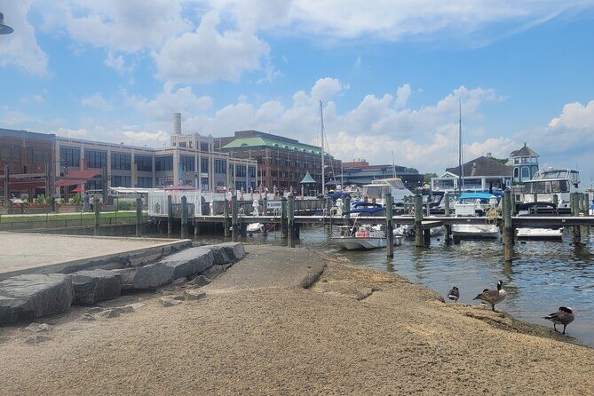 Semi-Private Walking Tour in Old Town Alexandria & Carlyle House - The Sum Up