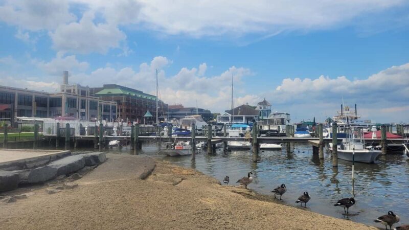 Semi-Private Walking Tour Old Town Alexandria & Carlyle - Final Thoughts