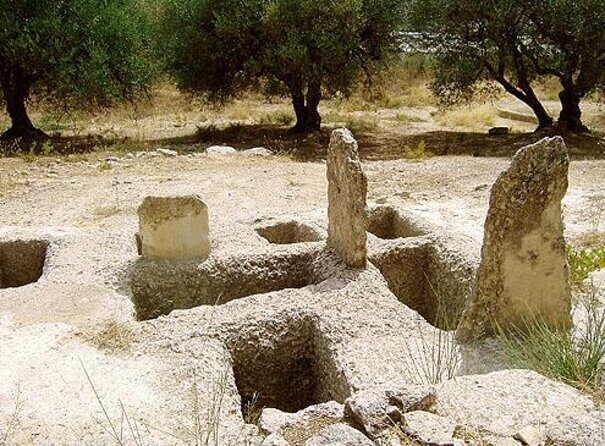 Semi Private Wine and Olive Oil tour (Transfer & Lunch Incl.) - Exploring Crete’s Flavors: Semi-Private Wine and Olive Oil Tour (Transfer & Lunch Included)