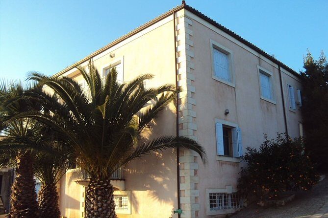 Semi Private Wine and Olive Oil tour (Transfer & Lunch Incl.) - Transportation and Group Size