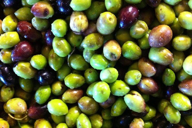 Semi Private Wine and Olive Oil tour (Transfer & Lunch Incl.) - Authentic Experiences and Authenticity