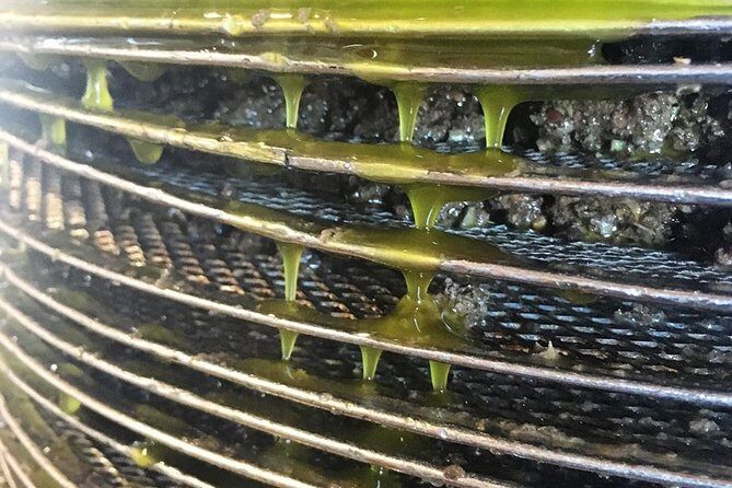 Semi Private Wine and Olive Oil tour (Transfer & Lunch Incl.) - Final Thoughts