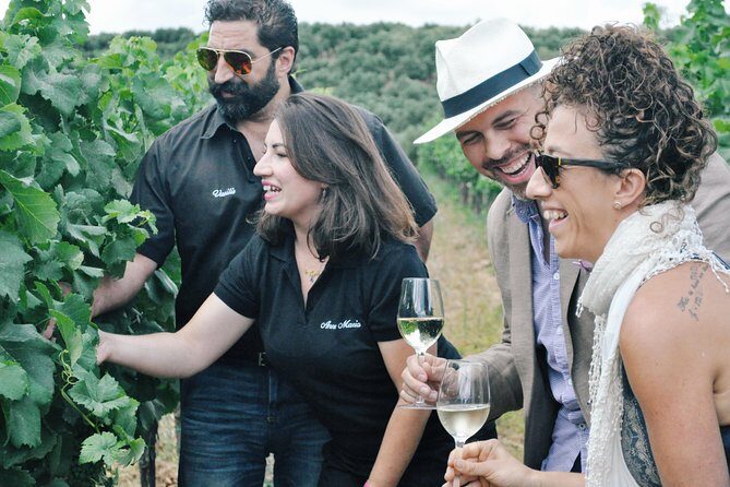 Semi-Private Wine Discovery Tour in Chania - Discover the Charm of Crete’s Wine on a Semi-Private Tour in Chania