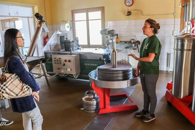Semi Private Wine, Olive Oil, and Terroir Tour of Heraklion area with Tastings - Key Points