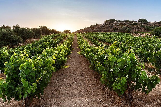 Semi Private Wine Tour of 2 wineries with Transfer and Lunch - Frequently Asked Questions