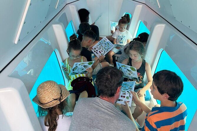Semi-submarine: visit to the seabed of Porto Bay - The Sum Up