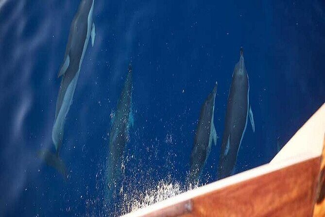 Semipriv FishingTour on Kaiki Paros/Naousa or Private sunset tour - Final Thoughts: Is It Worth It?