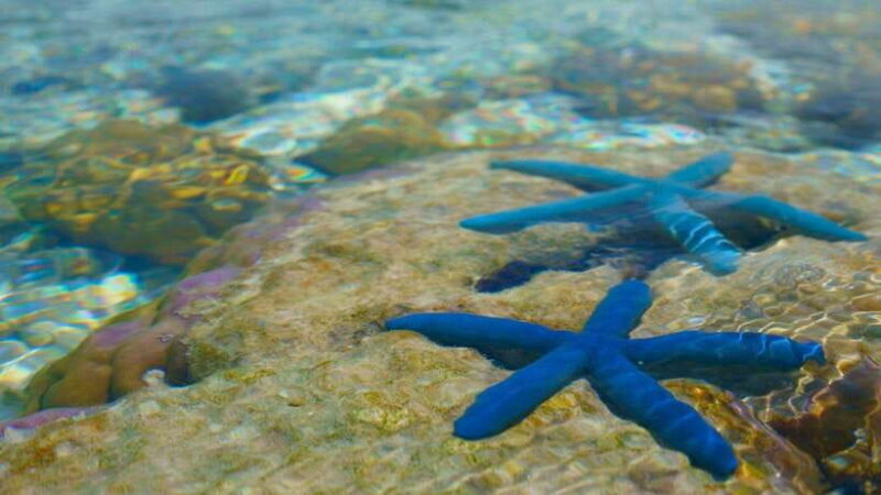 Semporna : Island Hopping Tropical Trio Sabah - Starting Point and Transportation