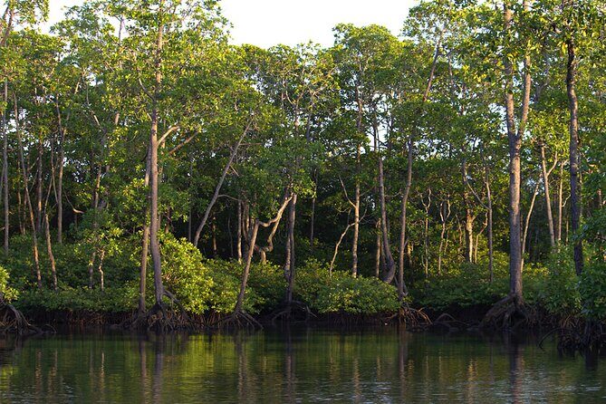Semporna : Mangrove Cruise, Fireflies, Transfer & Dinner - FAQ