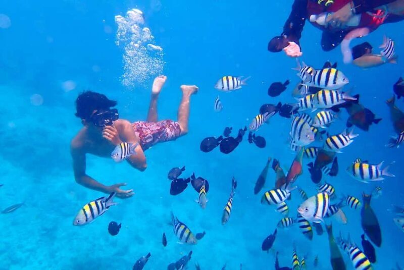 Semporna: Underwater Seawalking with Photography & Transfer - Introduction to the Underwater Seawalking Experience