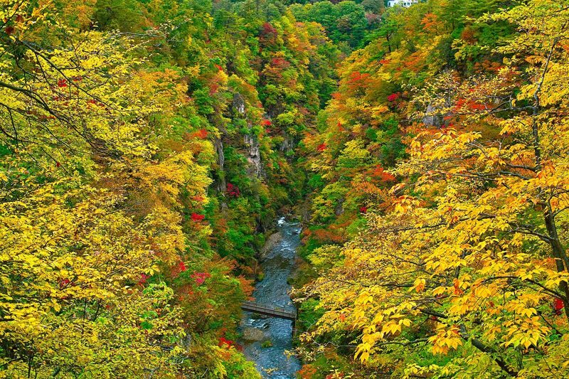 Sendai Naruko Gorge & Ginzan Onsen Autumn Leaves Tour - The useful points at a glance