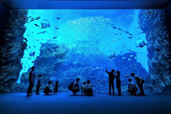 Sendai Umino-Mori Aquarium Ticket - What to know before you go