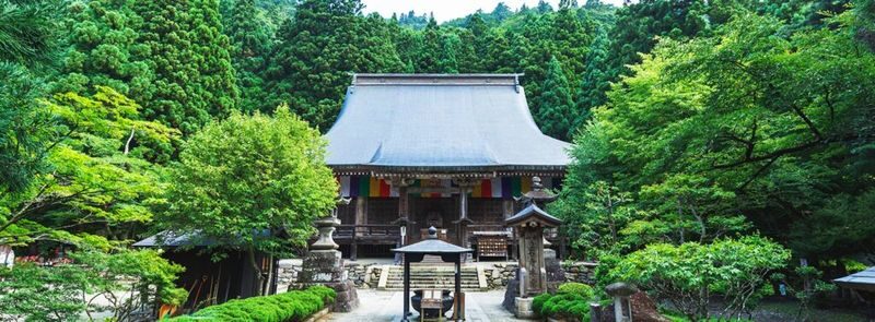 Sendai Yamagata Ginzan Onsen Full-Day Tour - A shared ride, with a guide for the practical bits