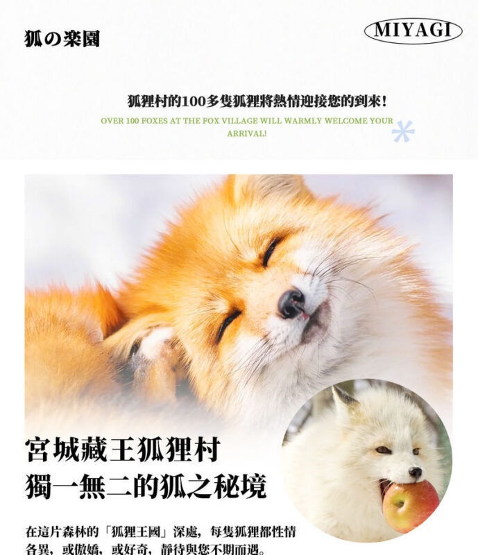 Sendai Zao Fox Village & Ginzan Onsen Full-Day Tour - Ginzan Onsen rewards a slow walk