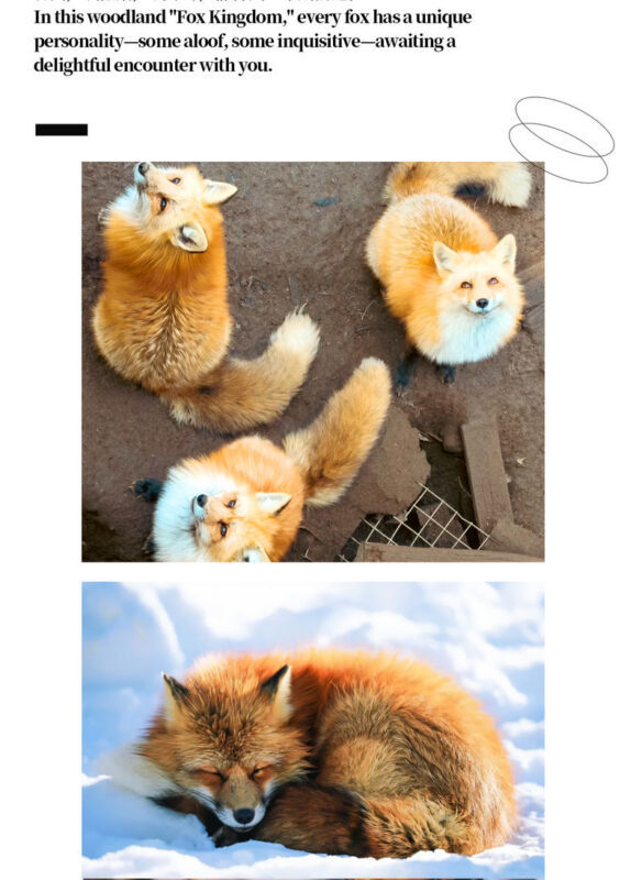 Sendai Zao Fox Village & Ginzan Onsen Full-Day Tour - What the price covers, and what it does not