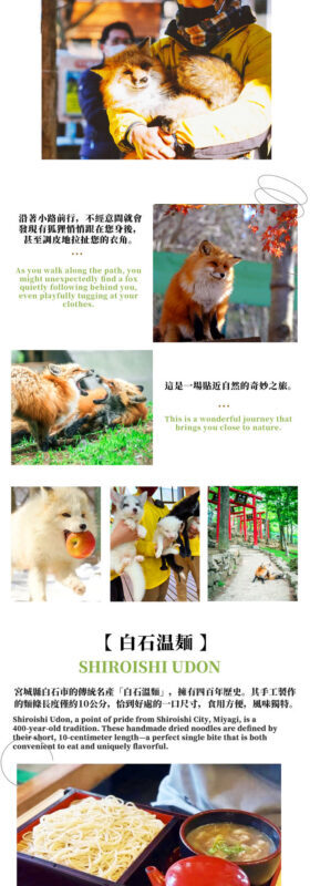 Sendai Zao Fox Village & Ginzan Onsen Full-Day Tour - Timing, changes, and small practical details