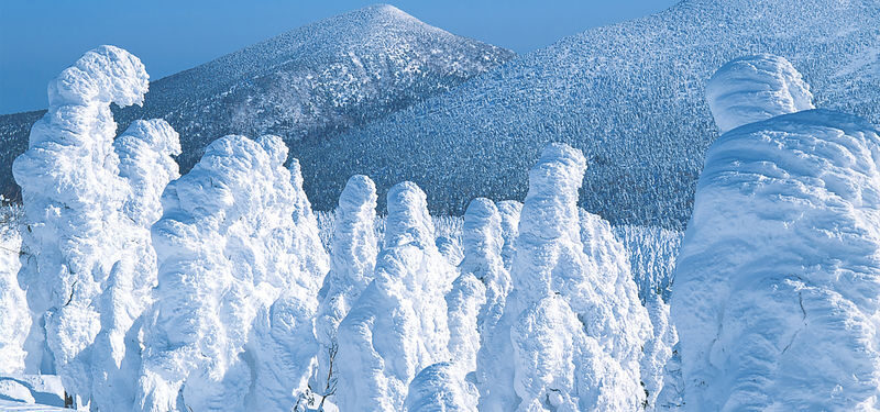 Sendai Zao Fox Village & Snow Monsters Full-Day Guided Tour - What to know before you book