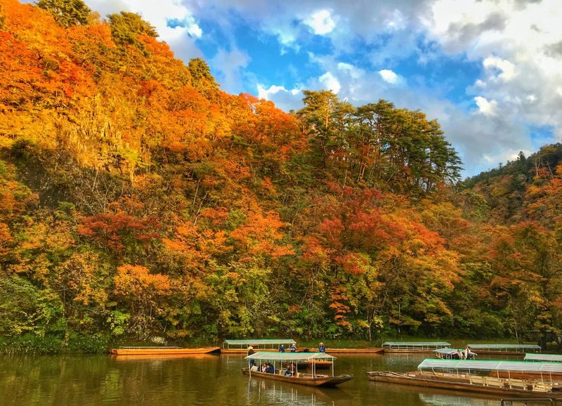 Sendai | Zao Okama Crater, Fox Village, and Ginzan Onsen Private Chartered Day Tour | Customizable Itinerary - Fox Village: a distinctive stop with rules