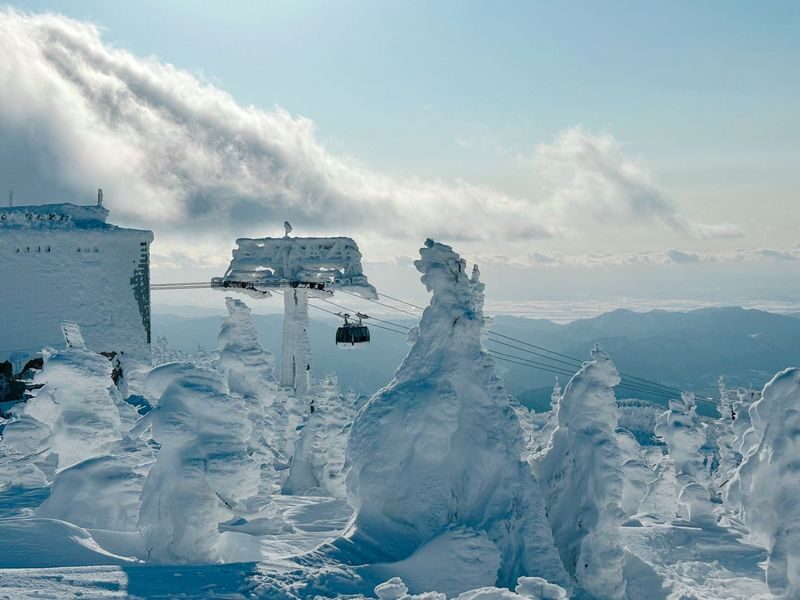 Sendai Zao Snow Monsters & Ginzan Onsen Day Tour - What the price does, and does not, settle